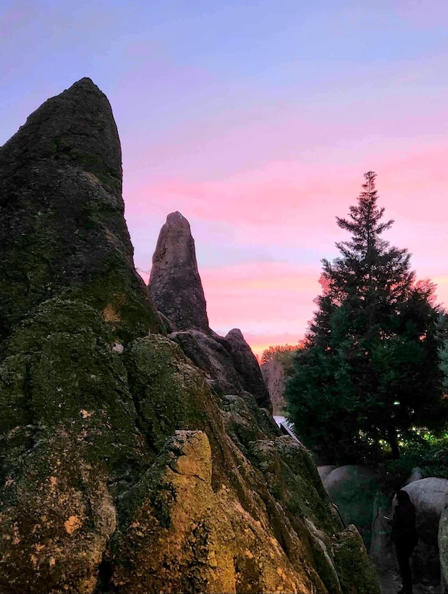 Tall, pointy rock formations with large pine tree in front of a pink sunset sky.