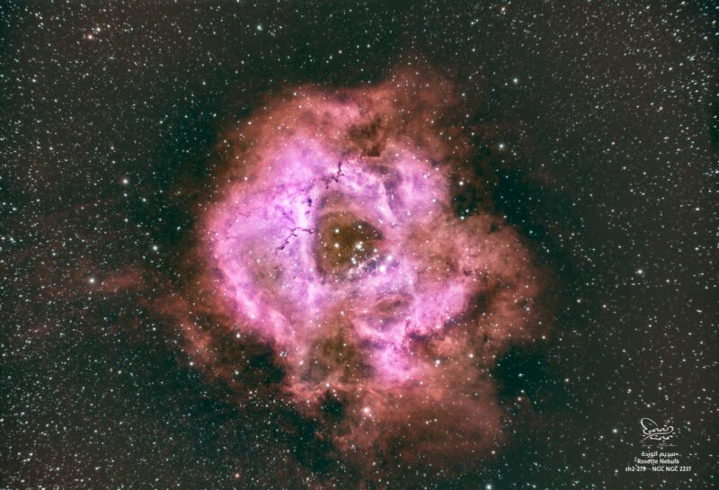 Tight swirls of bright pink and red clouds in a dense star field.