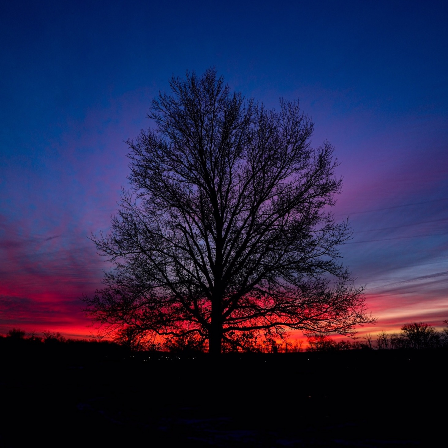 Tree in the foreground against a colorful sunrise.