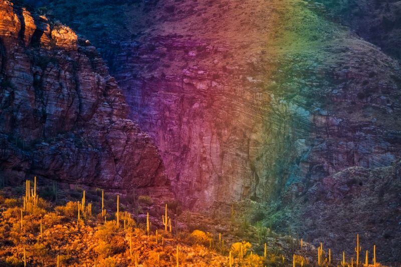 A rainbow against a rockface with sunlit cacti in the foreground.