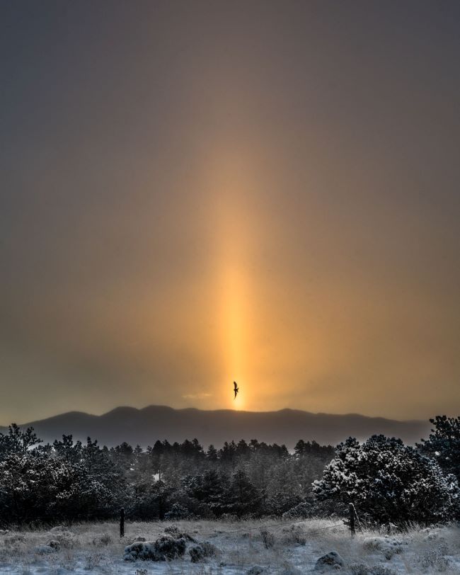 A orange beam of light shoots upward from the horizon with a bird captured in front of it and a snowy landscape in the foreground.