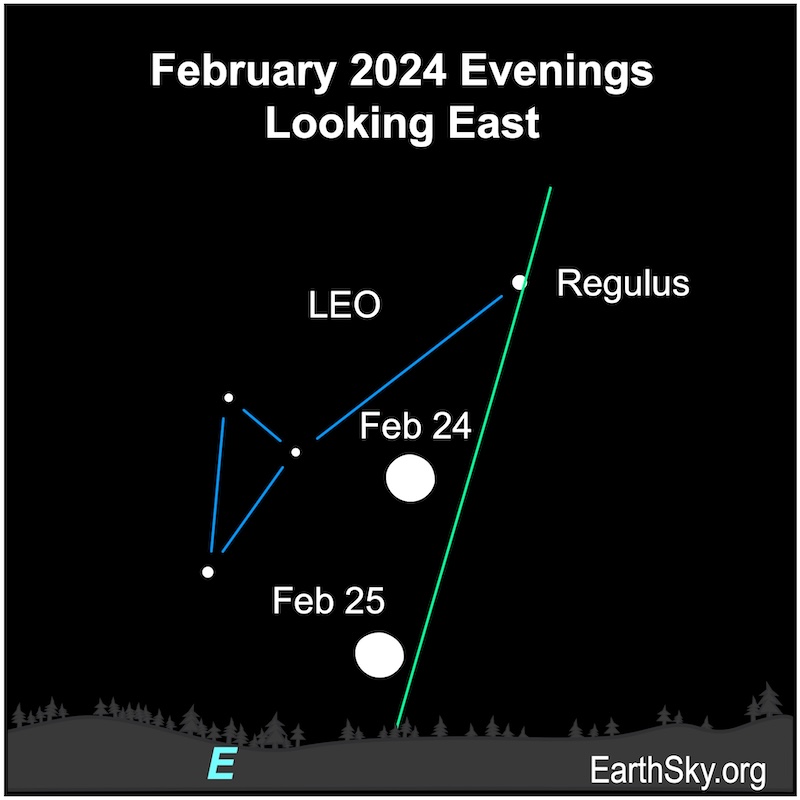 White dots for moon, Regulus and part of Leo on February 24 and 25.