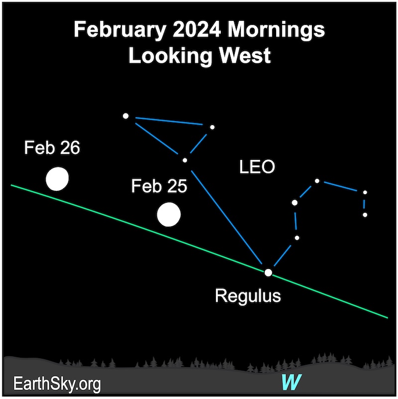 White dots for moon, Regulus and Leo on February 25 and 26.