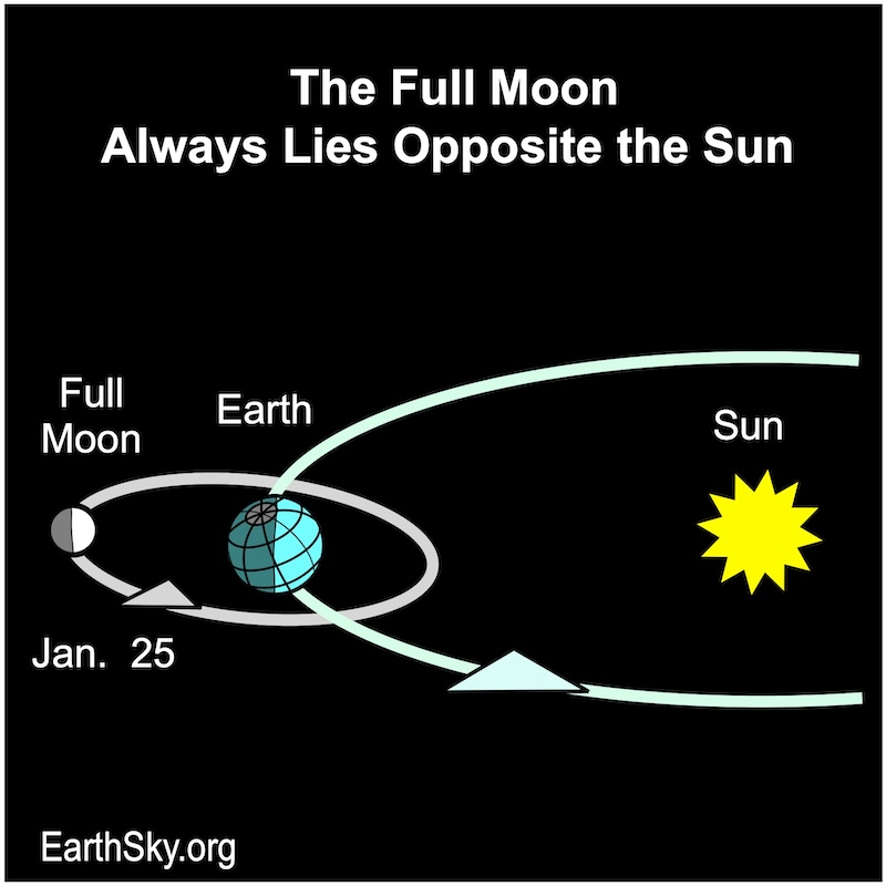 Full moon lies opposite the sun. The Earth in the middle.