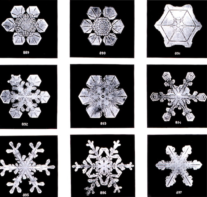Nine snowflakes in shapes ranging from a flat hexagon to complex 6-branched flakes.