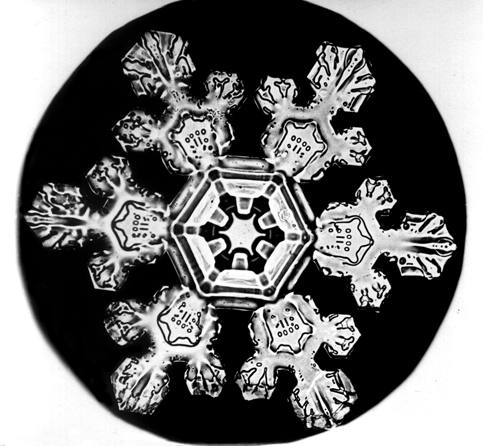 Snowflake with six delicate, bulbous crystal branches.