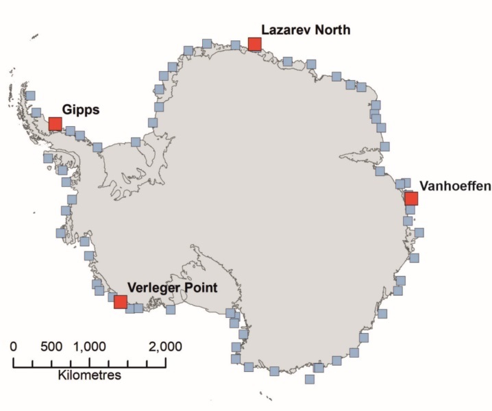 Map of Antarctica showing 4 red squares along the coast marking the 4 new colonies. There are many grey squares.
