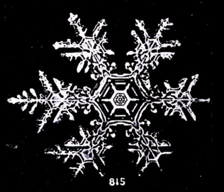 Snowflake with six delicate, complex branches.