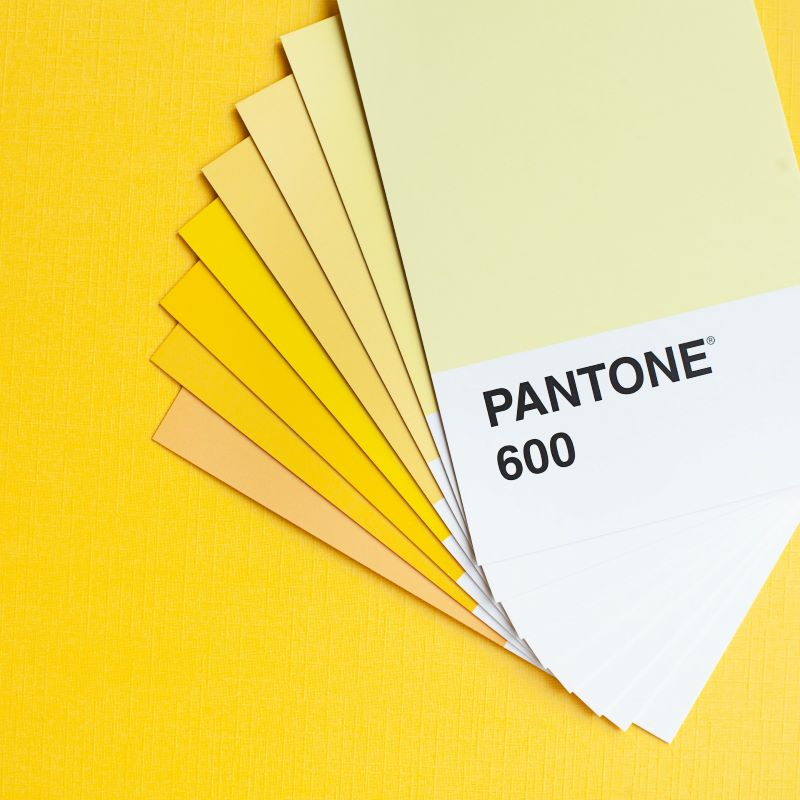Why pee is yellow: Yellow background with paint swatches in different shades of yellow, labeled Pantone 600.