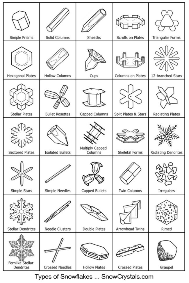 Chart with 35 drawings of different shapes from flat to rods to six-sided fernlike flakes.