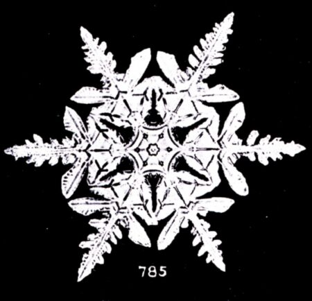 A snowflake with six delicately branched points.