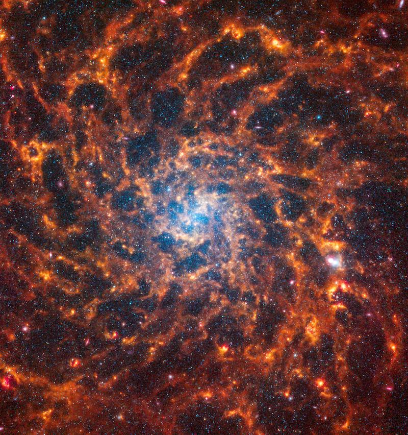 Large bright glowing shape with many orange spiral arms and white center, with foreground stars.