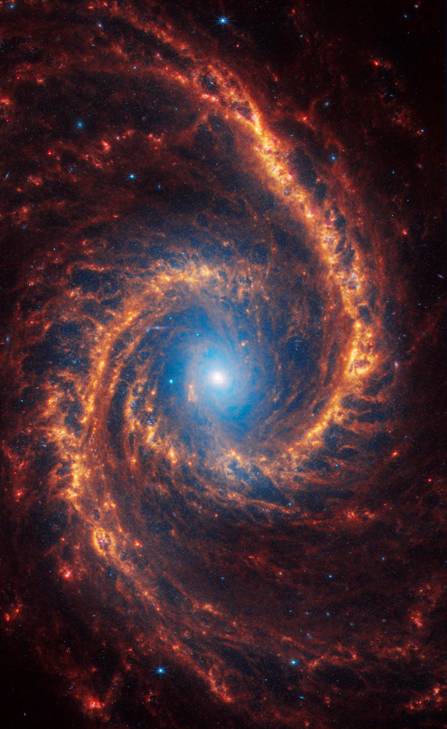 Galaxy with bright bluish center and 2 long, curved, lumpy orange arms.