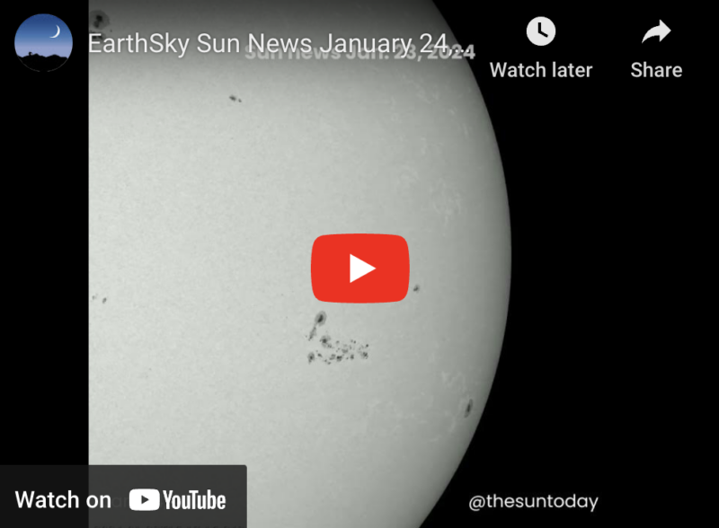 Sun news: Busy sunspot region AR3561