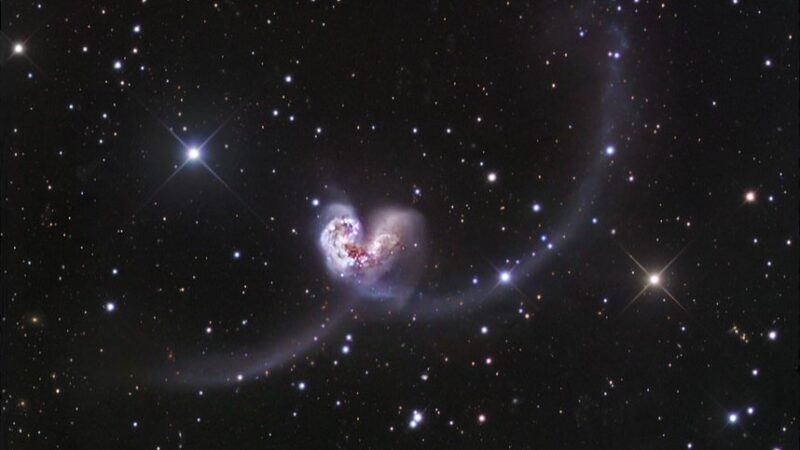 A heart shape formed by 2 merging galaxies with long tails. The shape and tails look light purple.