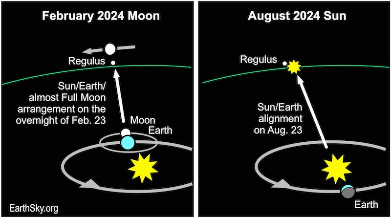 2 charts next to each other. The one on the left shows (from bottom right to top left)  the sun, Earth, moon, Regulus and the moon again. The chart on the right shows (from bottom to top) the Earth, sun, the sun again and Regulus.