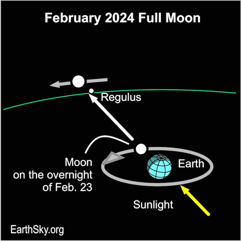 From bottom right to top left: A yellow arrow pointing at Earth, then the moon, there is another white arrow that points to Regulus and then the moon.