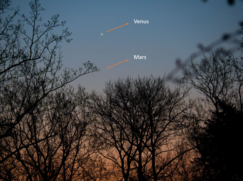 Two barely visible white dots for Venus and Mars above dense bare trees in dawn sky. The planets are labeled.