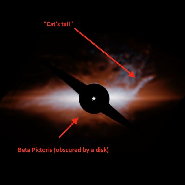 Cat's tail in Beta Pic: Black circle with tiny 5-pointed star in center and 2 oblong wings on either side, with bright red and white cloud behind it. Also red text labels and arrows.