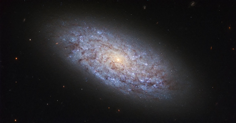 Large oval-shaped mass with spiral arms and many bright dots in it, in space.
