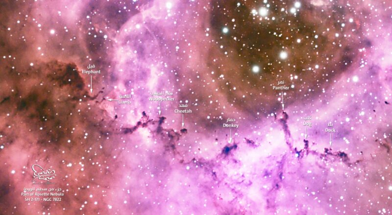 Zoo of animals: A bright pink nebulosity with dark blobs in front labeled with animal names.