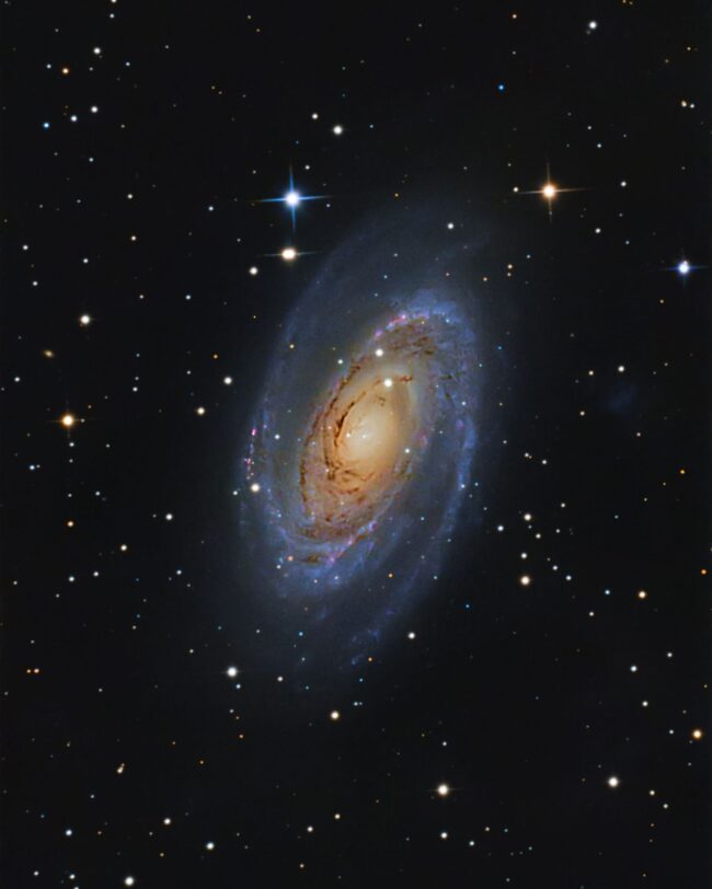 Gran nebulosa azul y amarilla con espirales prominentes, carriles oscuros y estrellas en primer plano.