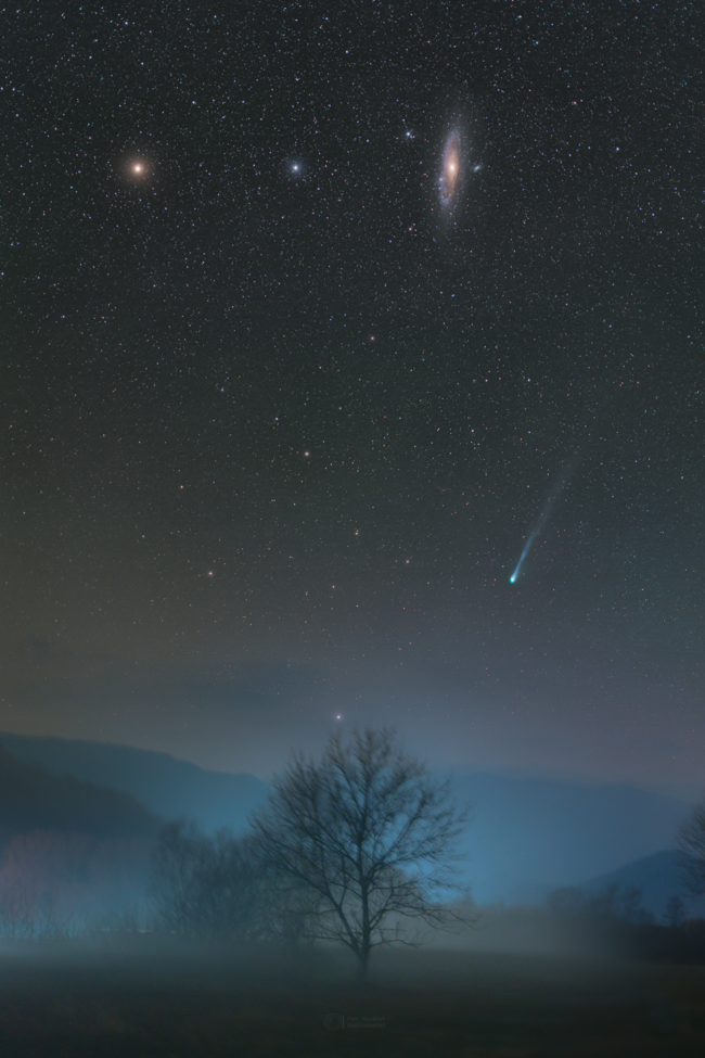 A tree in a foggy landscape and long-tailed comet above, and oblique view of a glowing galaxy near the top.