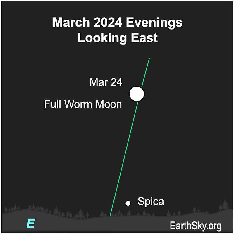 Green, near-vertical ecliptic line with labeled full moon and Spica below it close to the horizon.