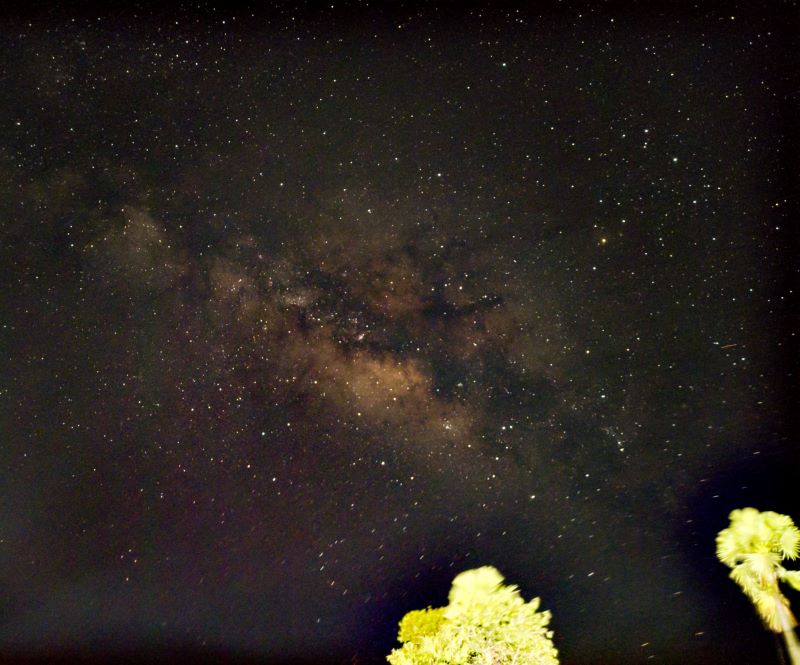 Una Vía Láctea brillante con callejones oscuros y polvorientos en un cielo estrellado.