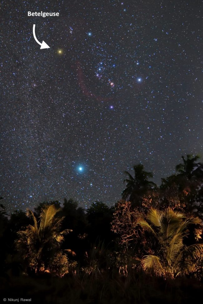 Starfield with bright, colorful stars of Orion with Sirius below over tropical trees.