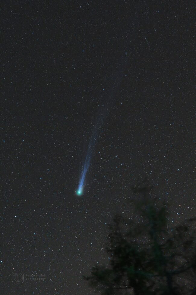 A long-tailed greenish comet aimed down toward the horizon with a tree in the dark foreground.