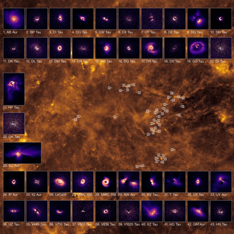 Yellow-brown wisps on a black background with many insets showing planet-forming disks.