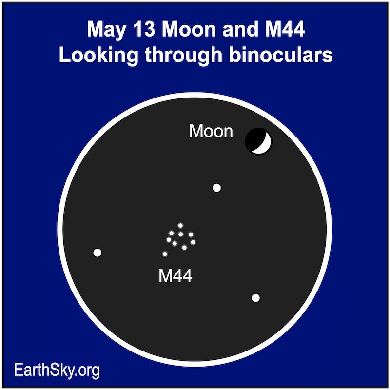 Moon and M44 viewed through binoculars on May 13.