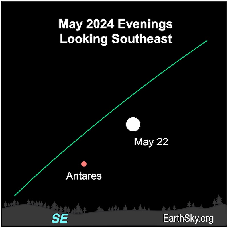 Moon on May 22 close to Antares.