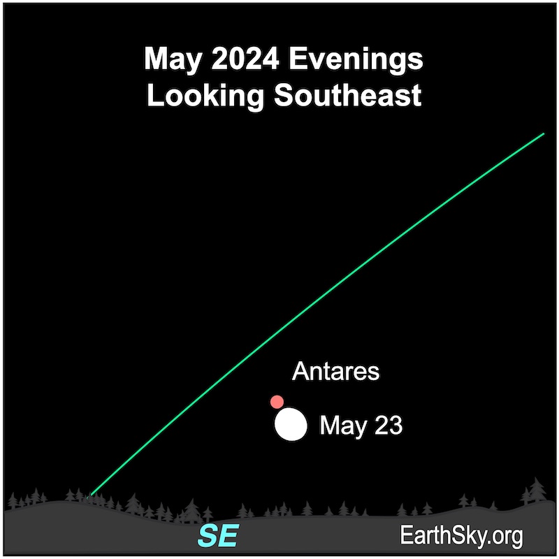 Moon on May 23 close to Antares.