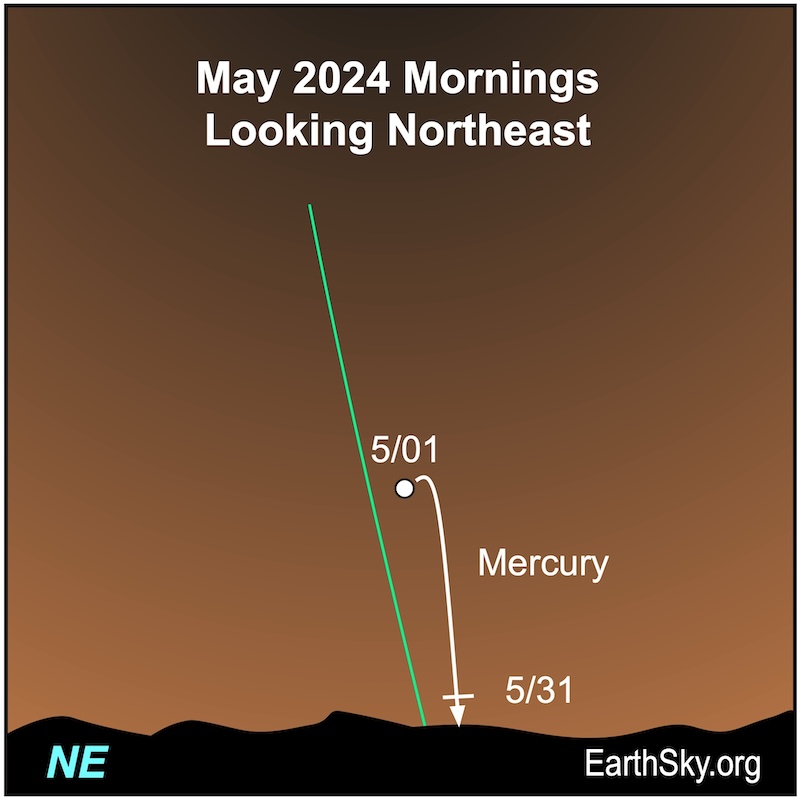 Mercury's path in May for viewers in the Southern Hemisphere.