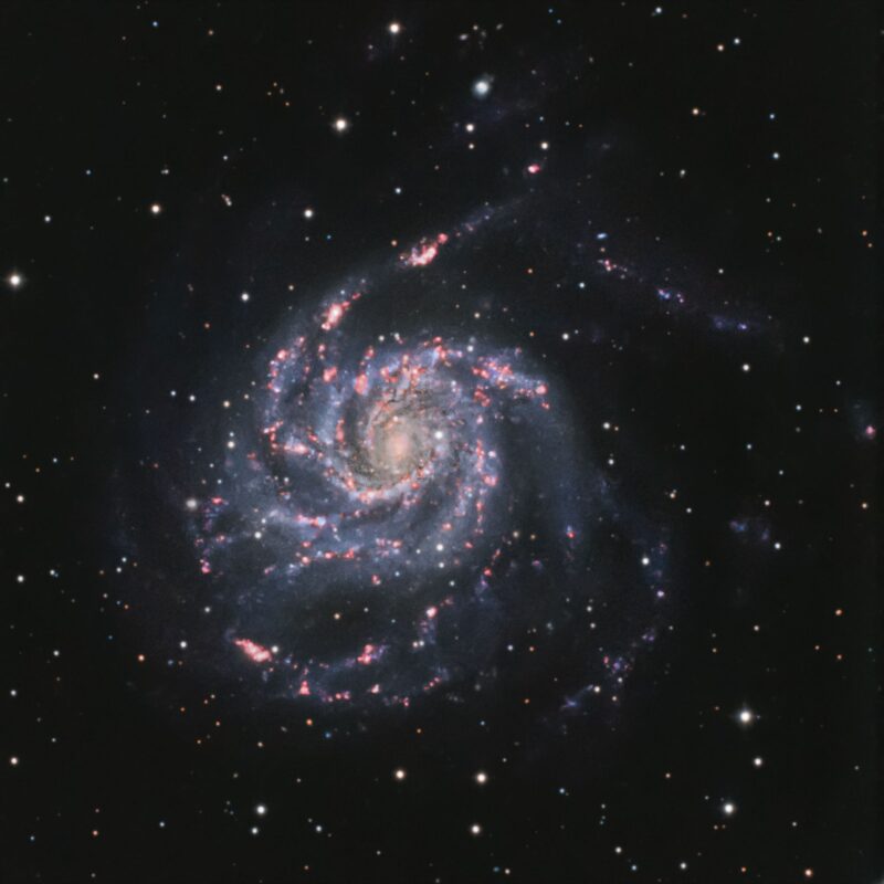 Large, blue and yellow spiral with red patches, dark lanes and foreground stars.