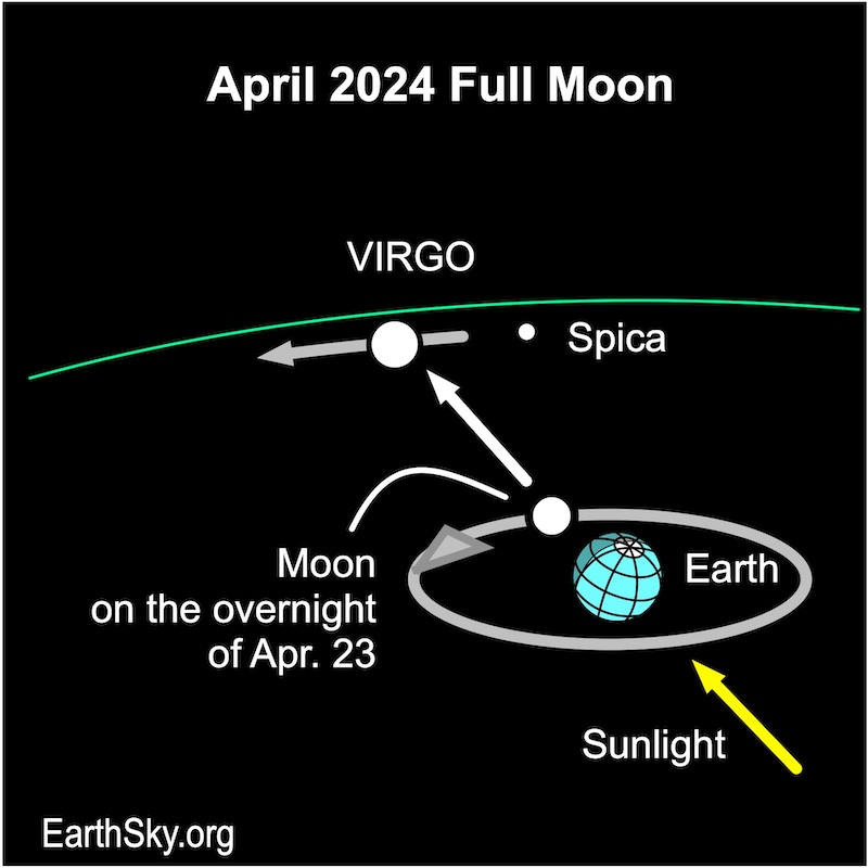 Diagram with arrow from Earth through moon toward Virgo, with star Spica nearby.