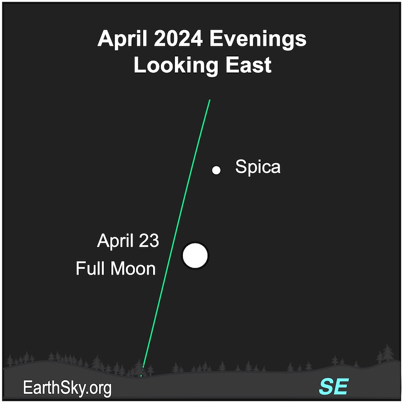 Steep green line of ecliptic with full moon and labeled star Spica along it.