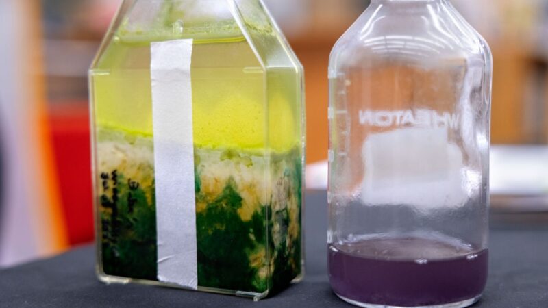 Is alien life purple?One bottle with green clumps inside and one bottle with a purple liquid inside.