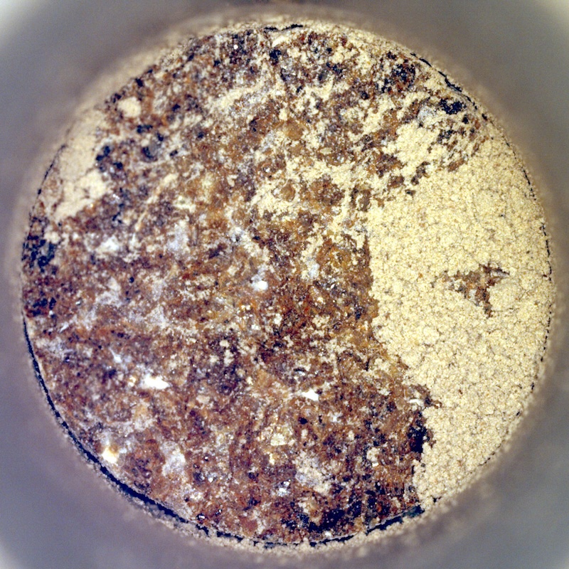 Round shape with mottled dark and light granular areas inside it.