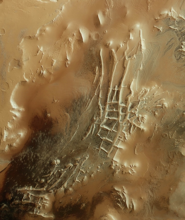 Set of rectangular hollows and ridges on brownish terrain, seen from above.