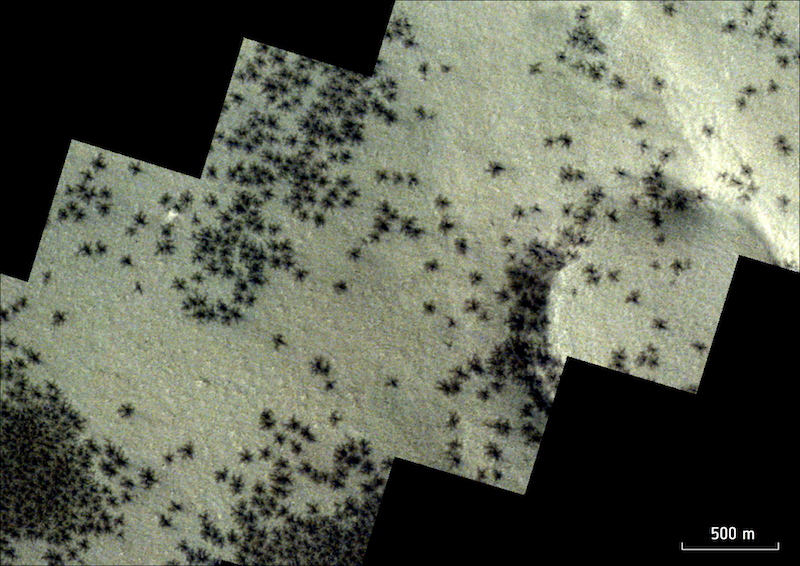 Martian spiders: Hundreds of small spider-like dark spots on lighter-colored surface. Step-shaped solid black sections in upper left and lower right corners.