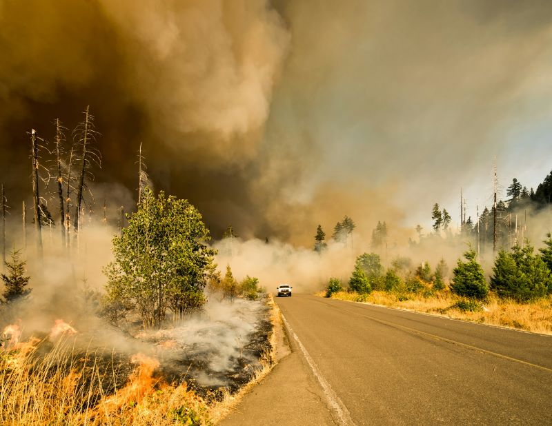 A car drives away from a smoking wildfire.