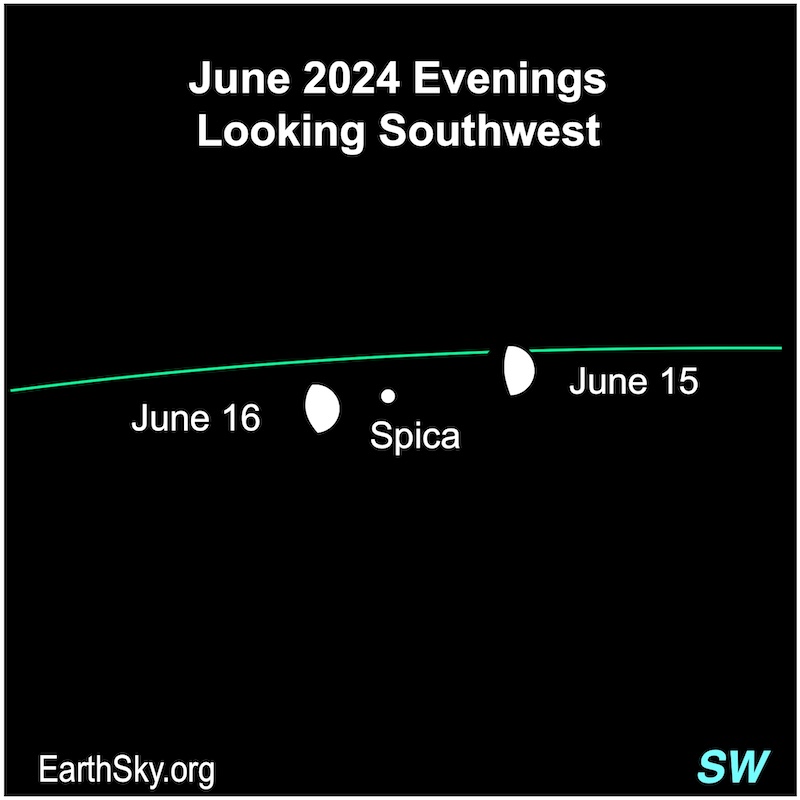 Moon on June 15 and 16 near Spica.