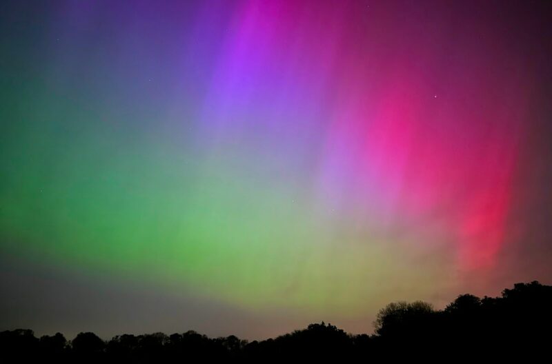 Green, purple and pink sky with a bright star at the top right, and trees at the bottom.