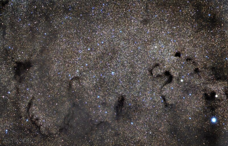 Half-a-dozen snake-shaped thin dark nebulae, seen over a background of millions of stars.