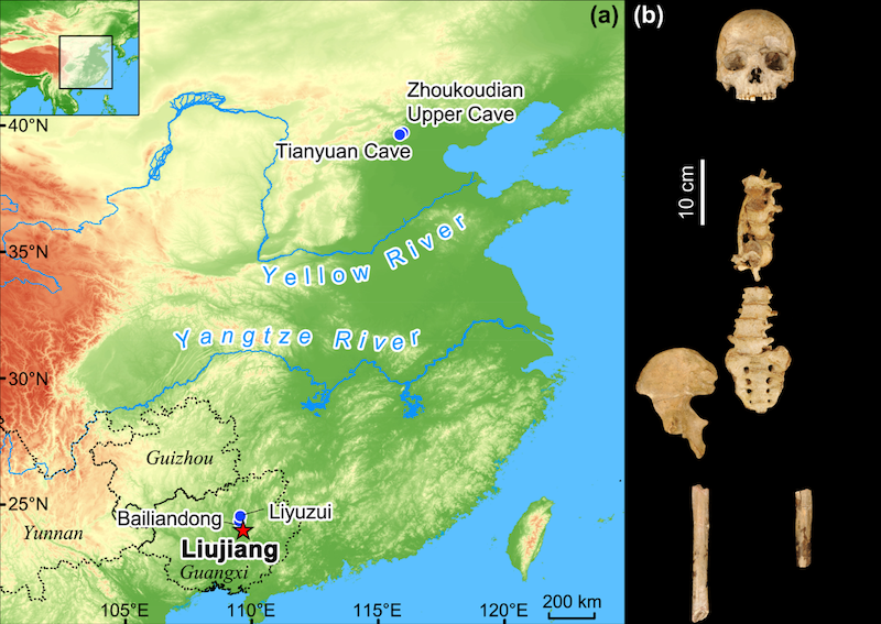 A map of China with the Liujiang skeleton location marked with a red star. On the right is a photo of the Liujiang skeleton.