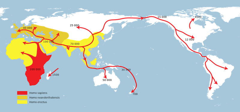 A world map with arrows from Africa outward, and differently colored patches in and near Africa. 