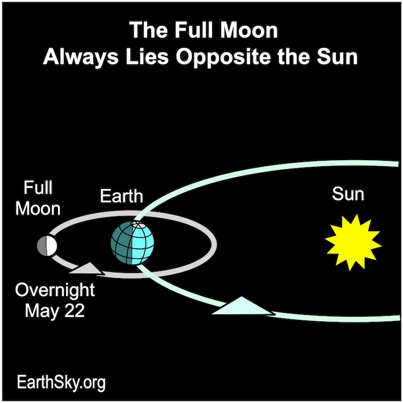 Full moon lies opposite the sun.